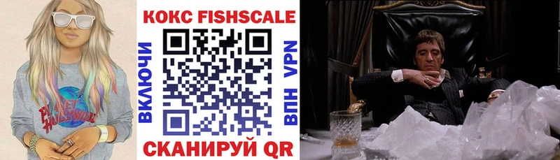 КОКАИН Fish Scale  купить закладку  Петров Вал 