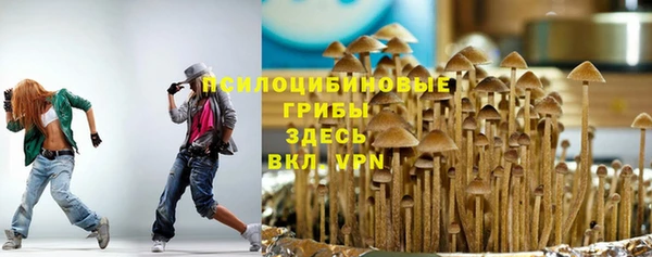 спайс Алексеевка