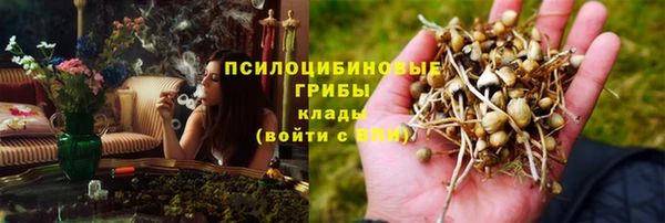 спайс Алексеевка