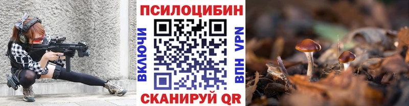 площадка формула  Петров Вал  Псилоцибиновые грибы MAGIC MUSHROOMS 